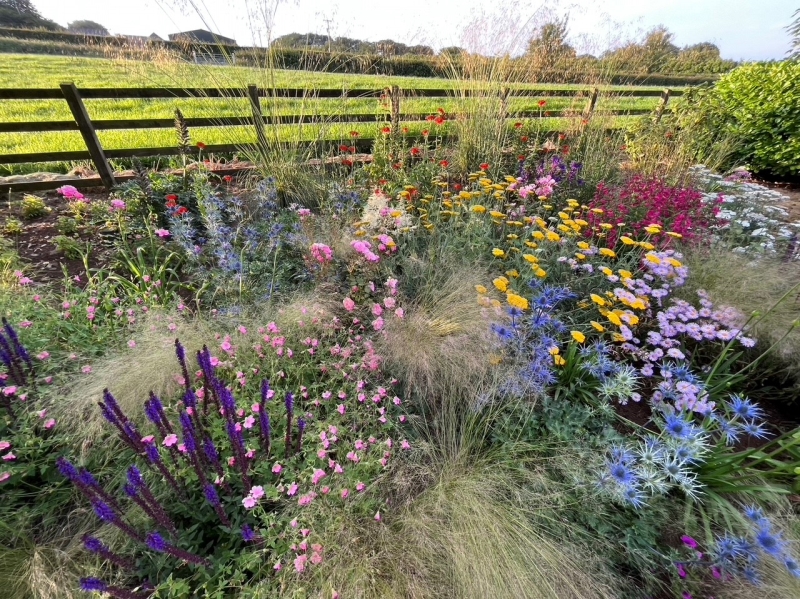 Beechmount House Garden